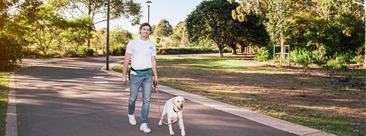 Picture of dog walker walking with two dogs