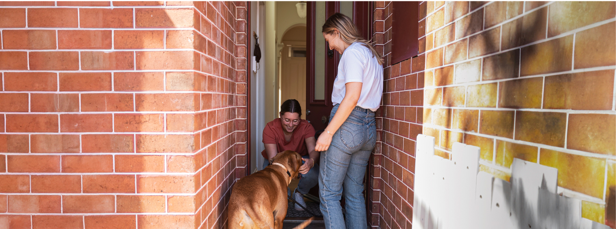 Picture of dog walker walking with two dogs