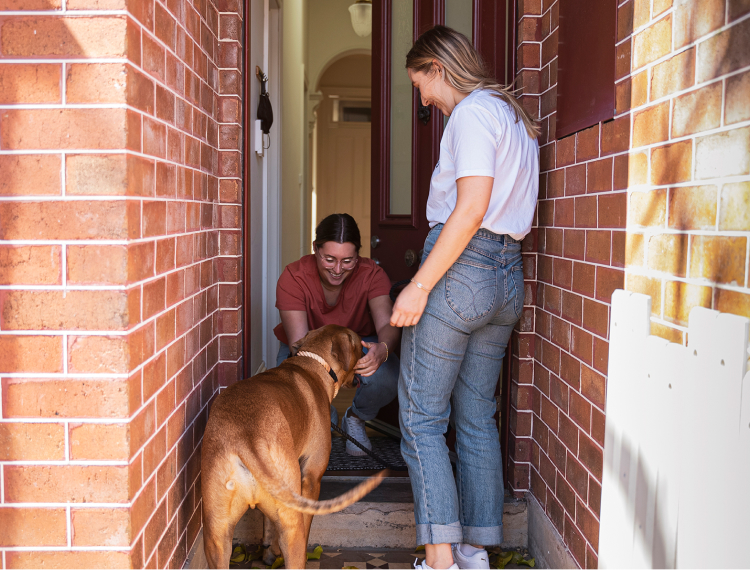 Picture of dog walker walking with two dogs