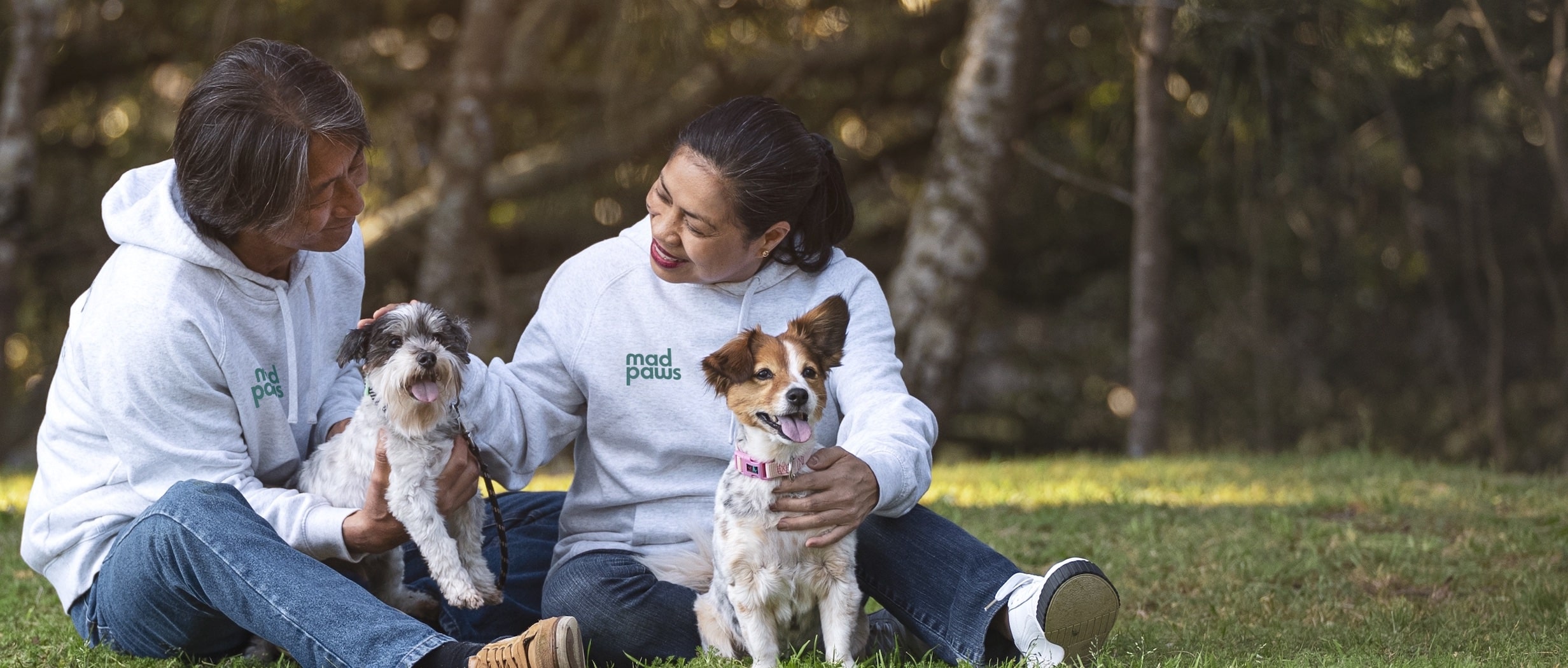 Couple with dogs on a forest lawn