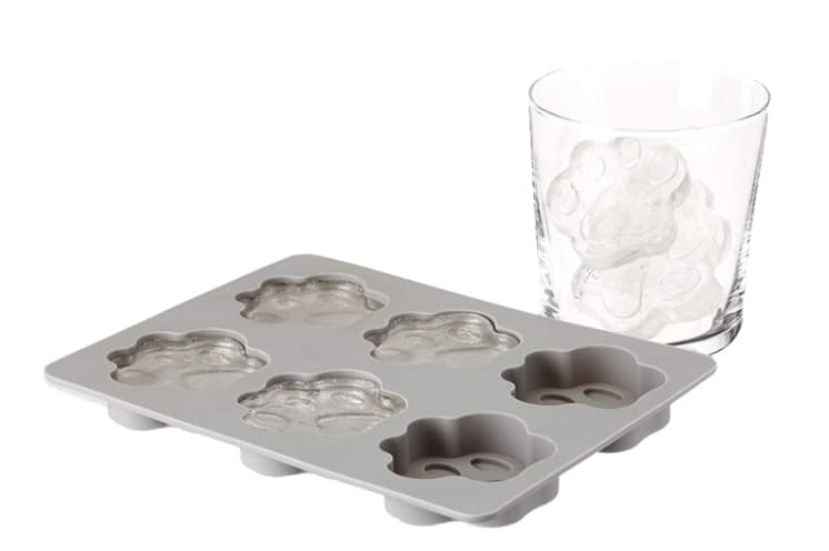 Animal paw ice cube tray from Dan Murphys