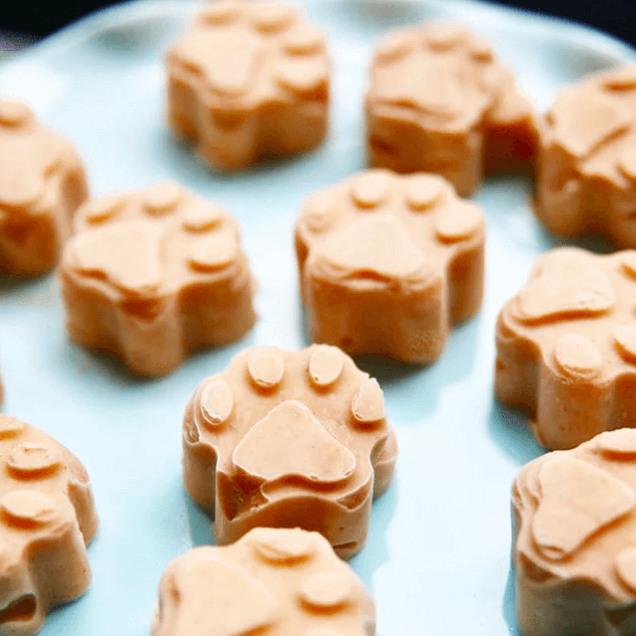 5 easytomake frozen dog treat recipes to try at home