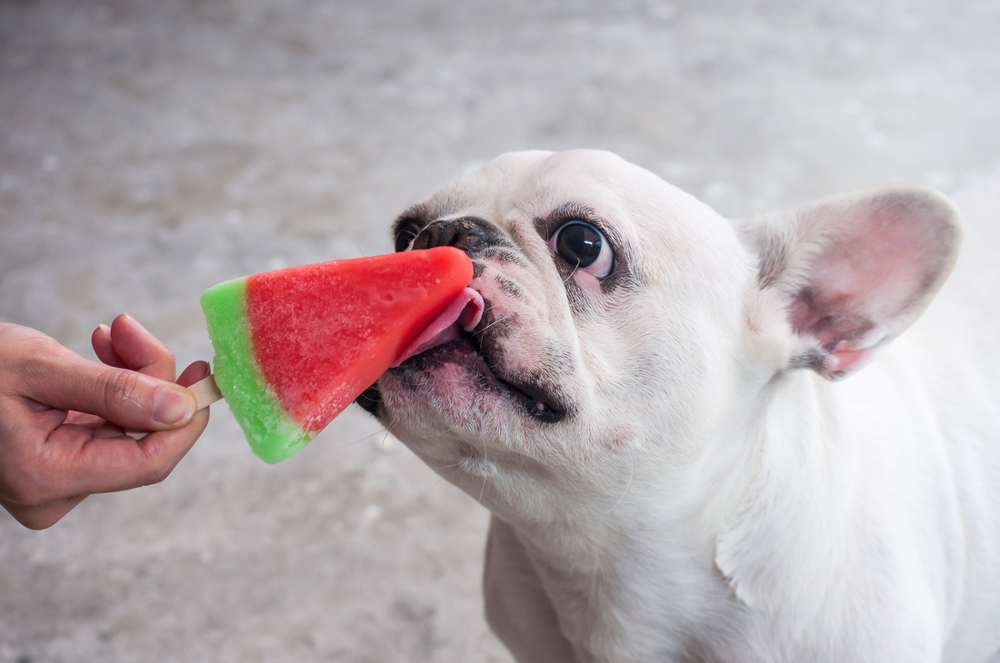 Doggie Cone DIY Frozen Dog Treat