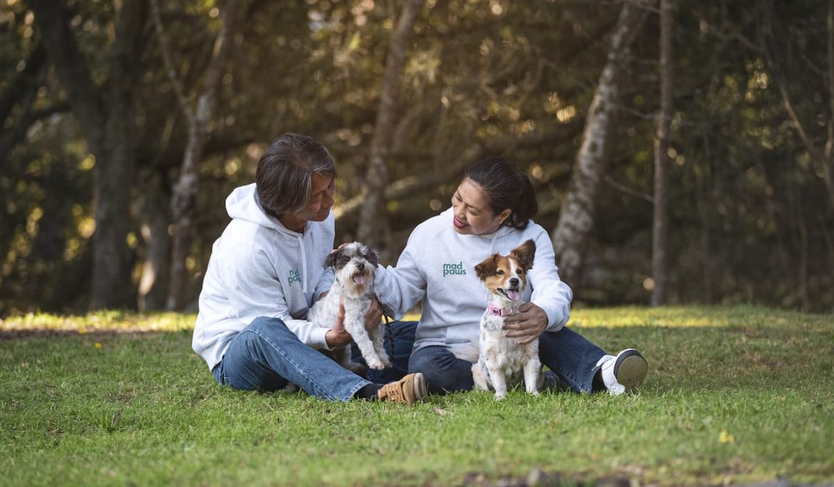 Pet Sitter Meet and Greets