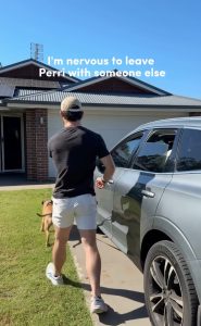 Got first stay nerves with your pet going to stay with a sitter?