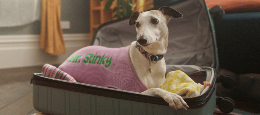 Feeling first stay nerves? 