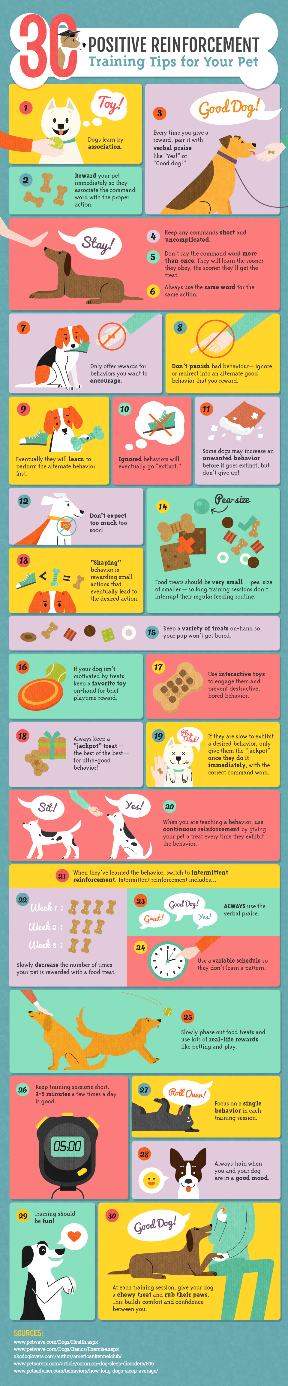 top dog training tips