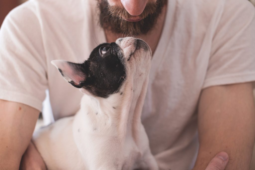 How To Say I Love You In Dog Language | Mad Paws Blog