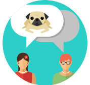 How-Does-Madpaws-Work_2