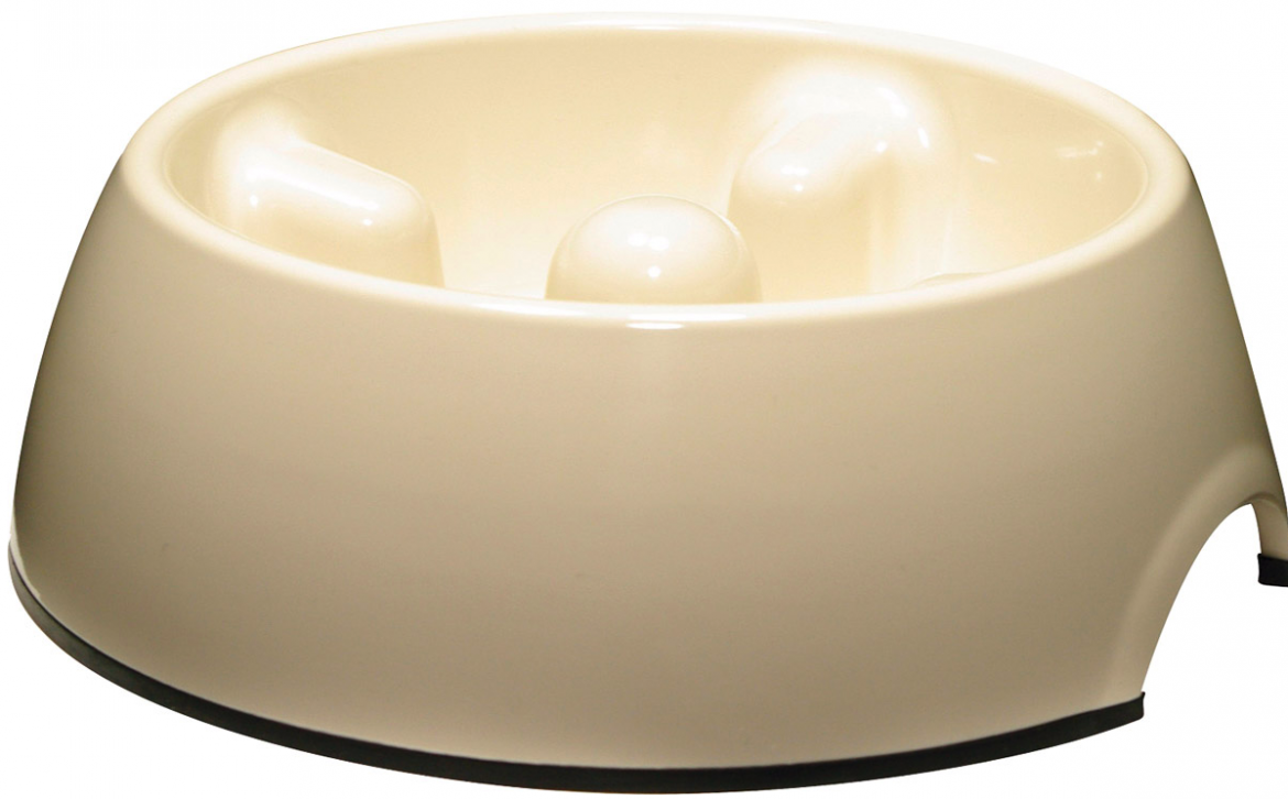 Stop Your Dog Eating Too Fast with These Tips Mad Paws Blog