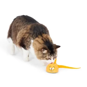 motorised mouse cat toy