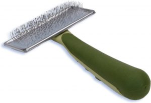 grooming tips