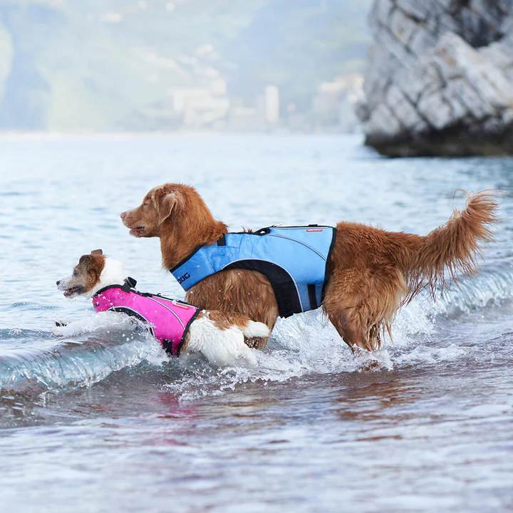 Dog life jacket