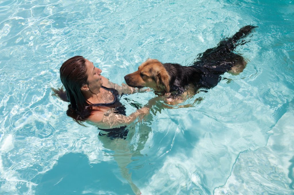 Teach Your Dog To Swim Mad Paws Blog