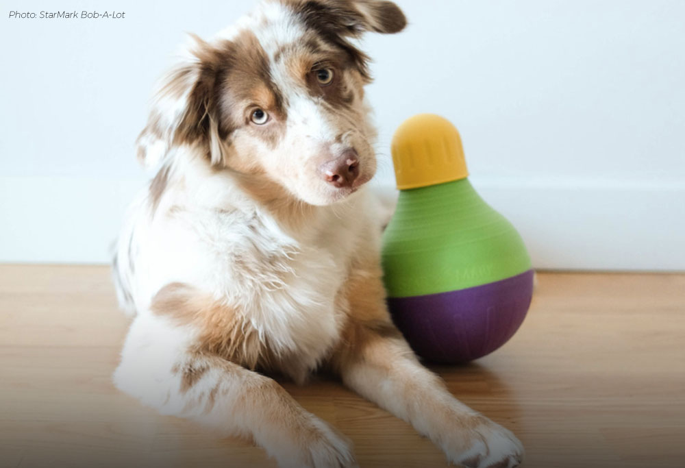 mentally stimulating dog toys