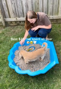 A digging pit for dogs can help re-direct this instinctual behaviour!