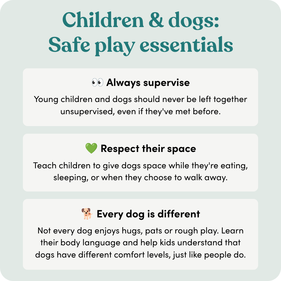 Here are some safe play essentials for children and dogs