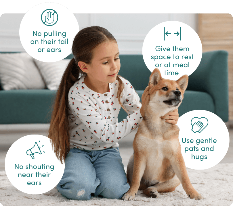 Safe play essentials for children and dogs