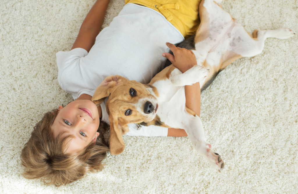 children and dogs together is lots of fun, provided there are boundaries set