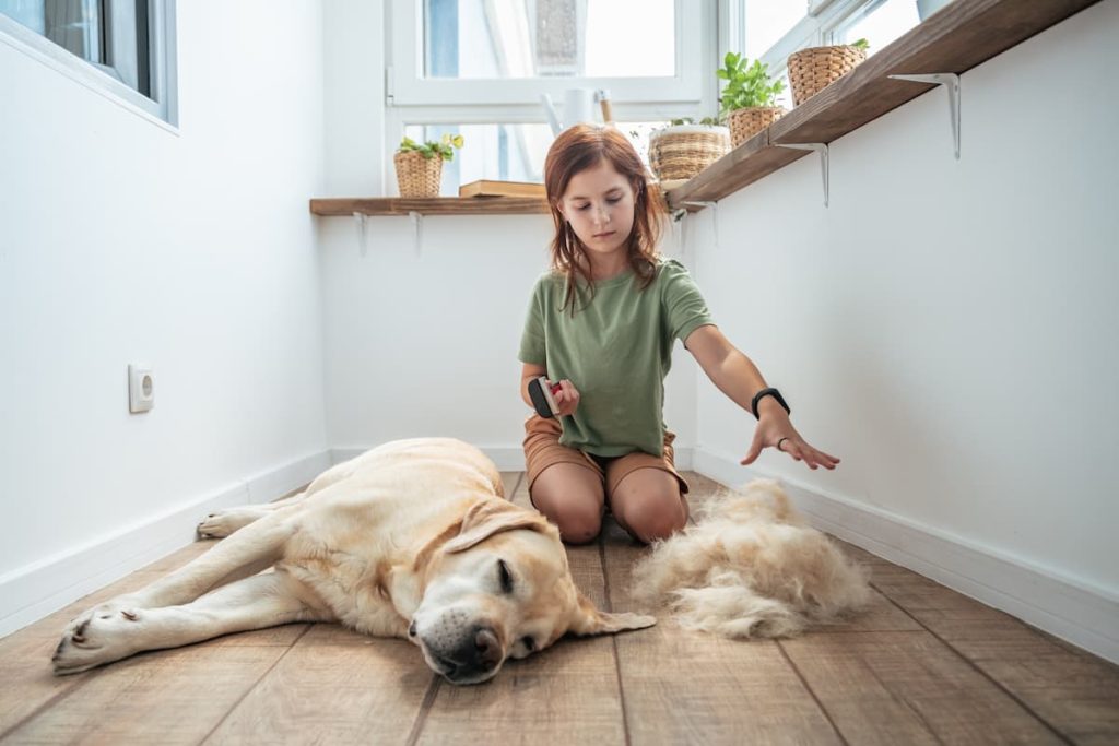 how can you stop a dog from shedding​