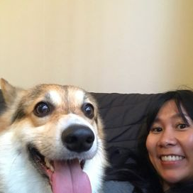 Airr Dog Sitter Dog Sitter Sydney Better Than Dog Kennels