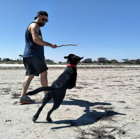 Casey Dog Sitter Think Dog Kennels Are the Best Option for Pet Care? Wait Until You Meet Dog Sitter Casey