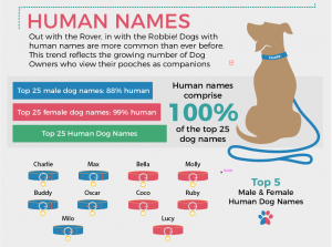 Top Dog Names And Most Popular Breeds Mad Paws