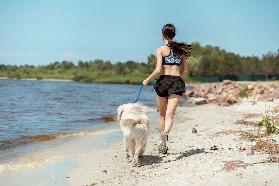 rear-view-of-female-jogger-running-with-dog-on-bea-2022-12-16-21-17-35-utc (1) exercise ideas for you and your dog