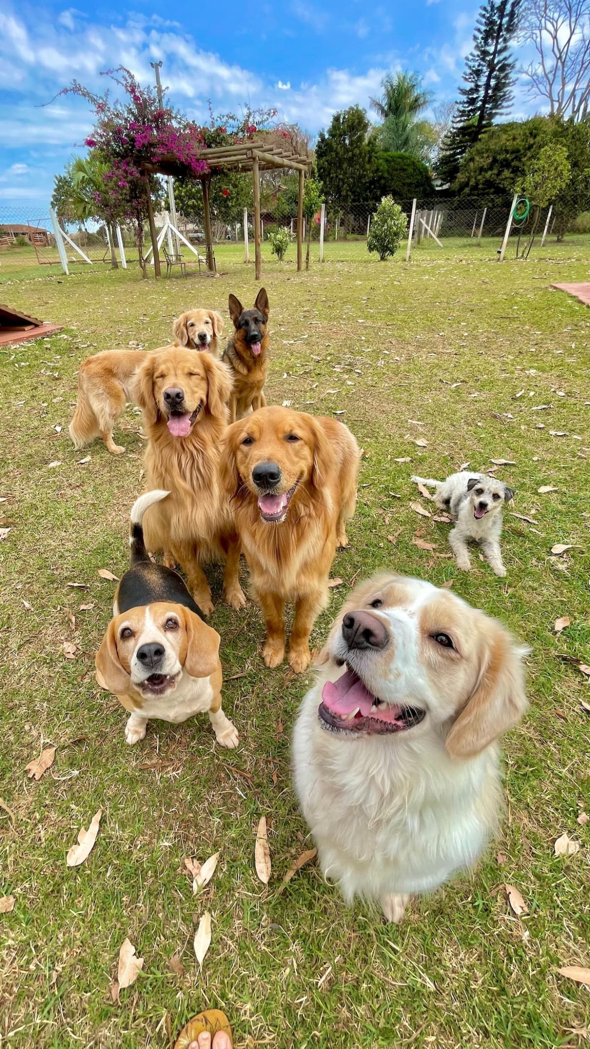 Being a Mad Paws pet sitter is one of the best jobs in the world!