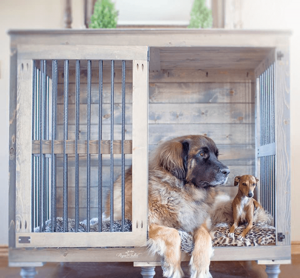 Crate Training Good or Bad for Your Dog? Mad Paws Blog