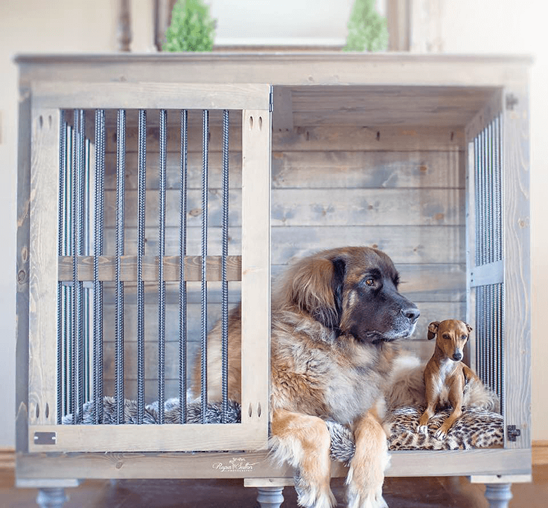 Crate Training with Two Dogs