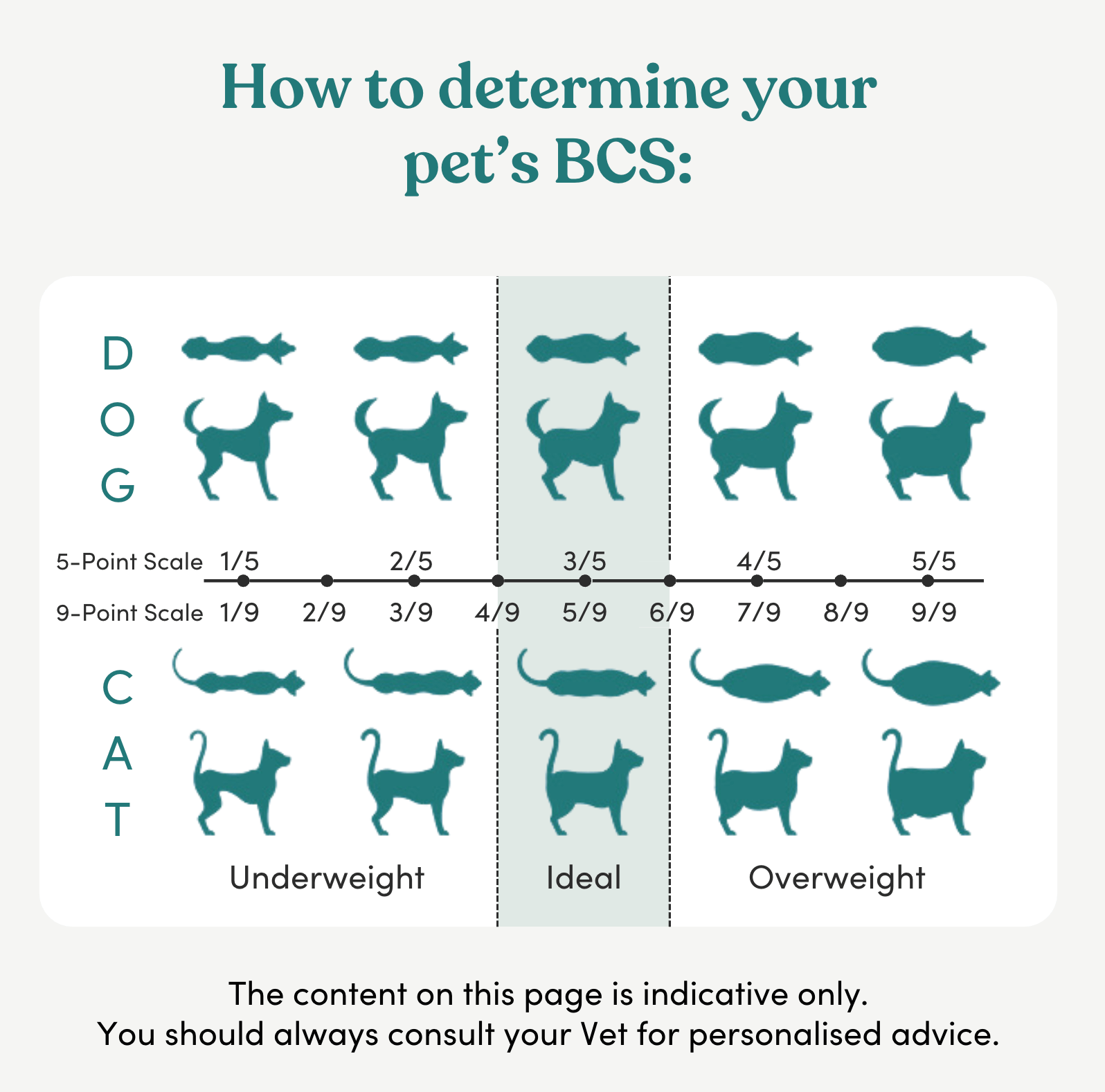 How to determine your dog or cat's body condition score