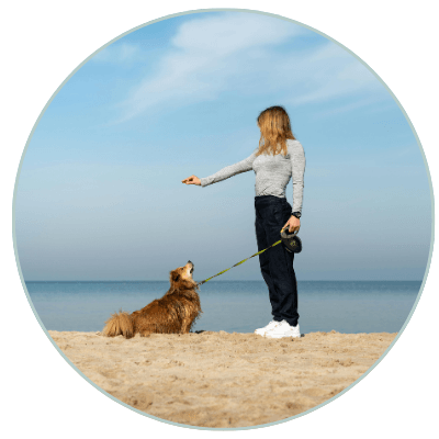 Dog training time