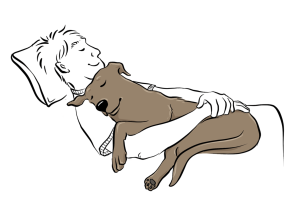 cuddle pug sleeping position