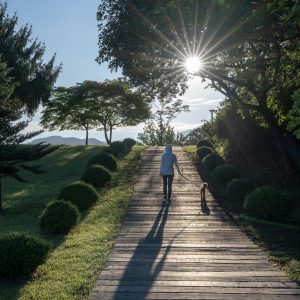 Dog Walk in the Morning