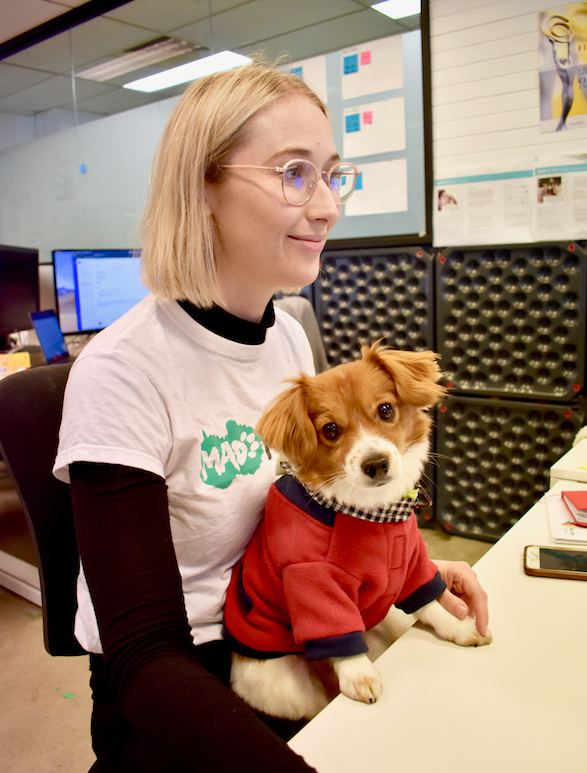 Take Your Dog To Work Day 2019 In Pictures Mad Paws Blog
