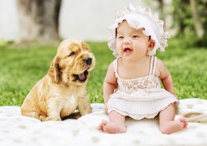 Introducing Dogs to Babies