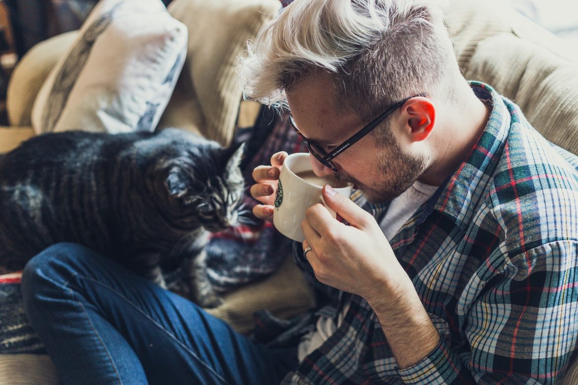 Why Do Cats Knead? Why Do Cats Knead?