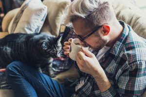 Why Do Cats Knead?