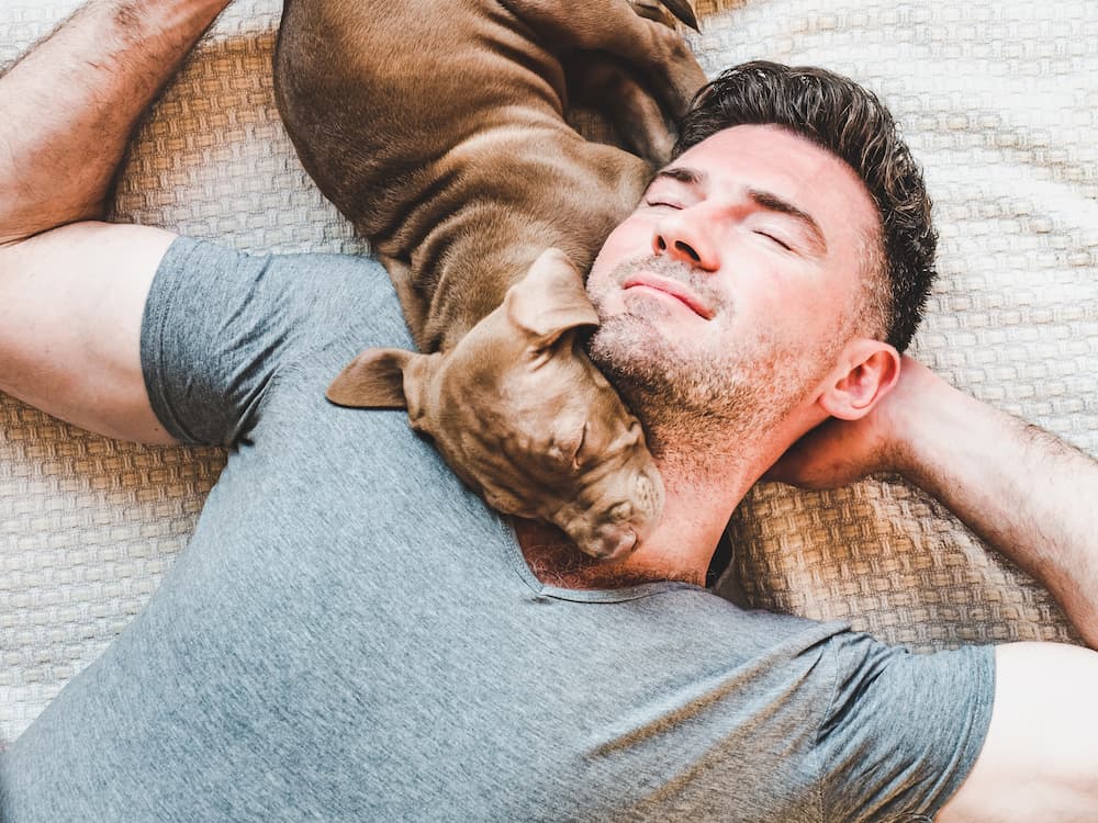 Why does my dog rest their head on me?