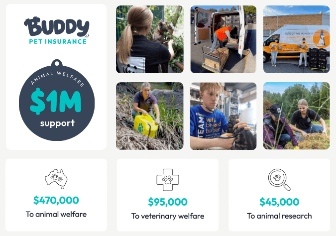 Choosing Buddy Pet Insurance means supporting their $1m Giving Program too!