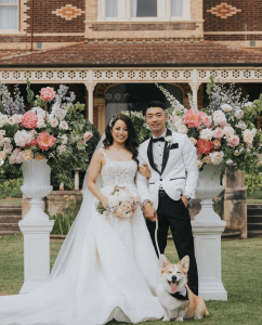 Need a Wedding Dog Sitter?
