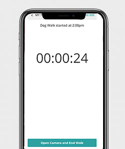 This image has an empty alt attribute; its file name is timer-2.png