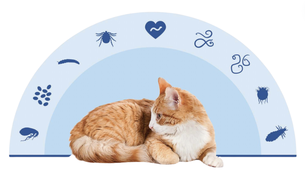 Revolution Plus flea tick and worm treatment