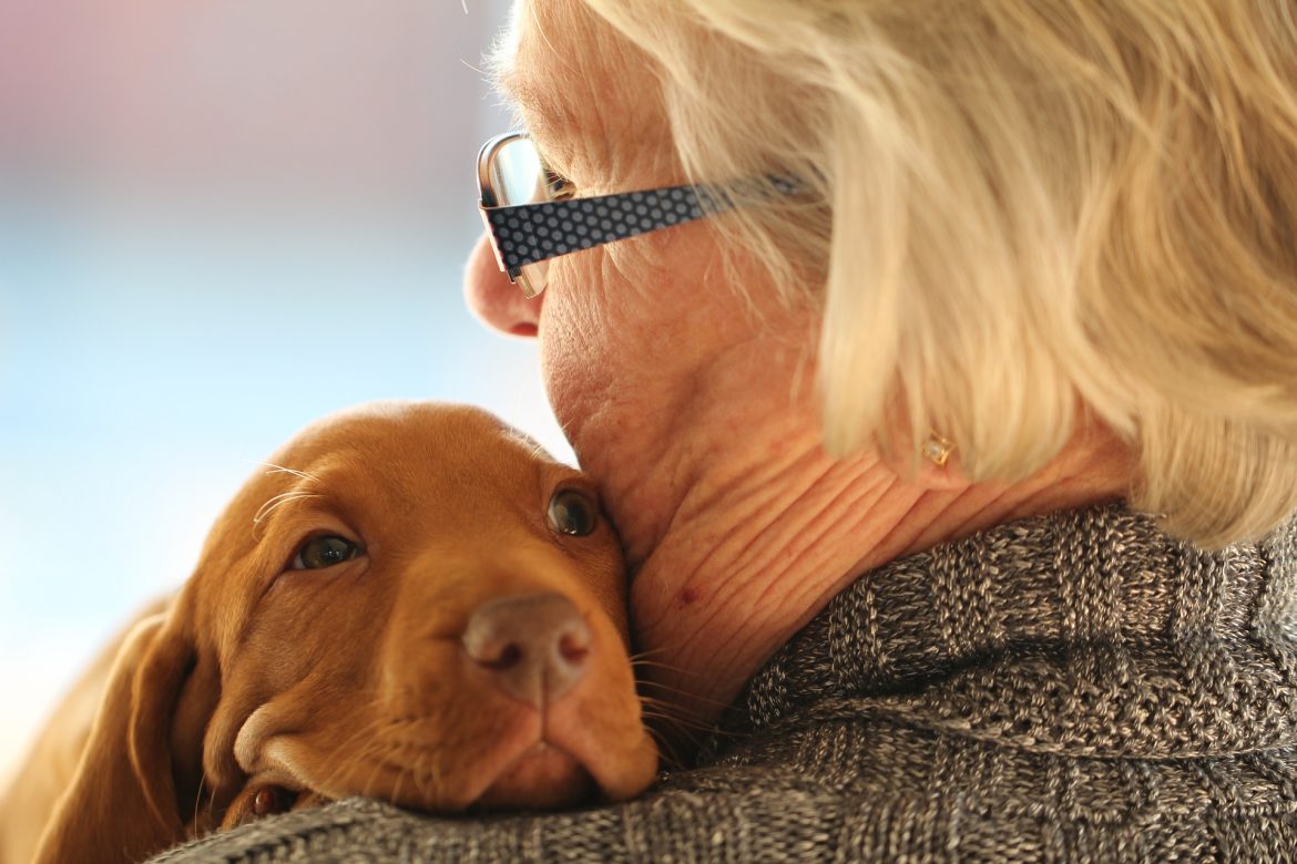 The Positive Effects of Pets on Seniors The Positive Effects of Pets on Seniors
