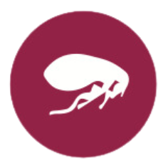Flea prevention treatment