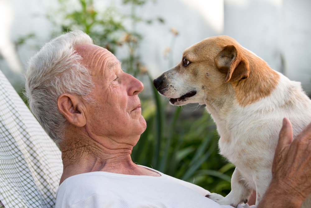 flexible jobs for retirees