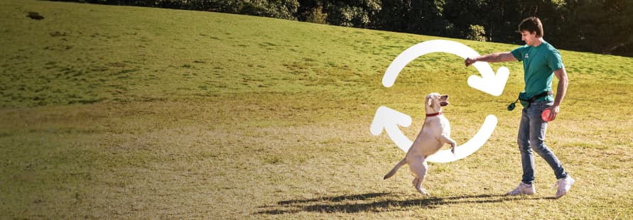 repeat weekly bookings are great for services like dog walking, daycare and house visits