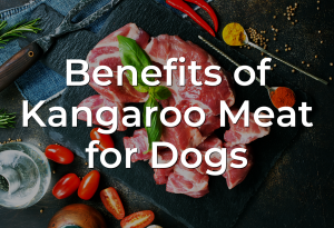 Benefits of Kangaroo Meat for Dogs