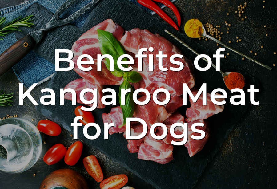 is kangaroo a good protein for dogs